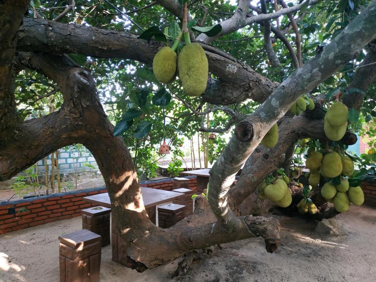 Sigiriya Cashew Palace Resort Daganapothaha Bagian luar foto