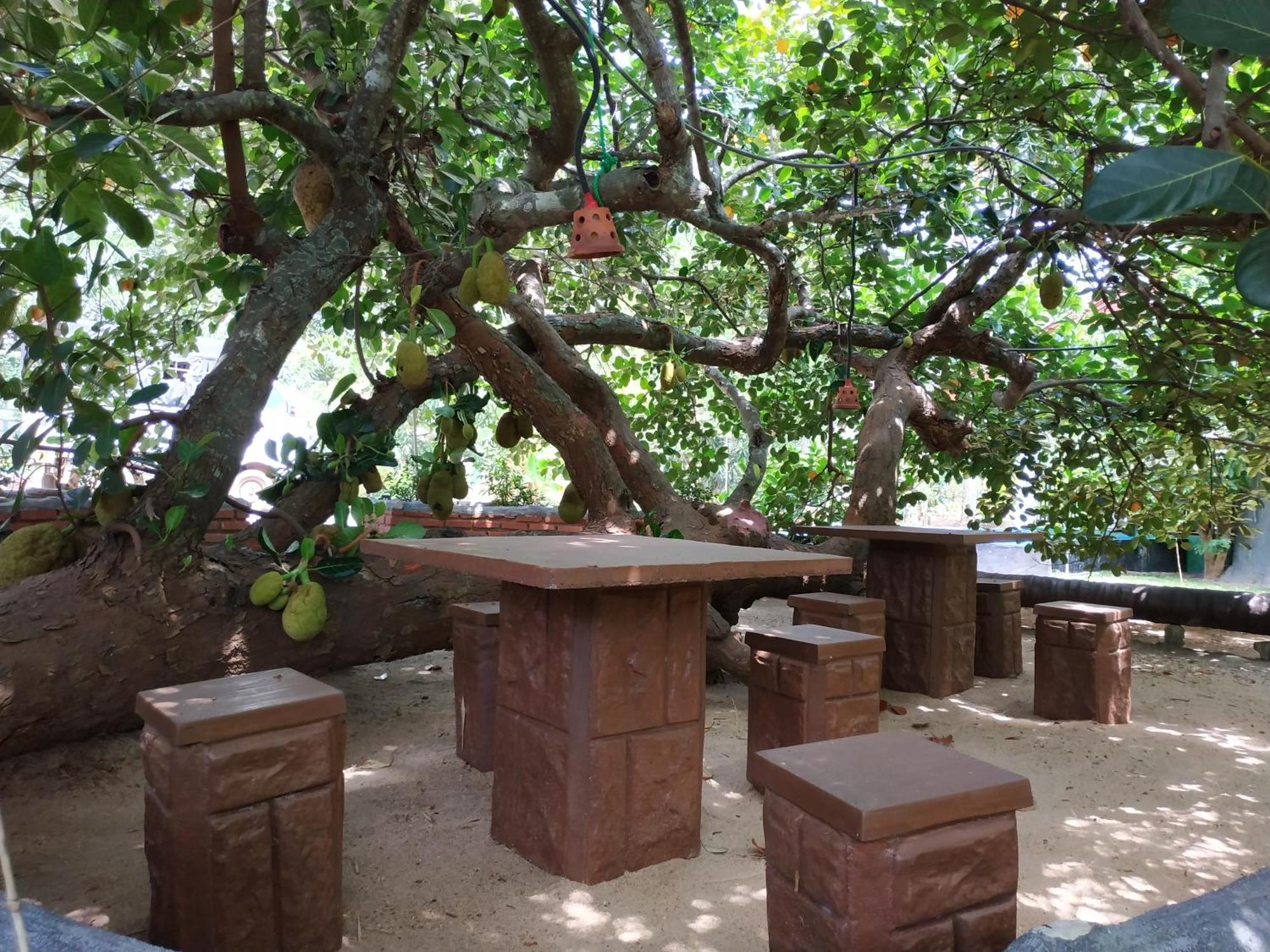 Sigiriya Cashew Palace Resort Daganapothaha Bagian luar foto