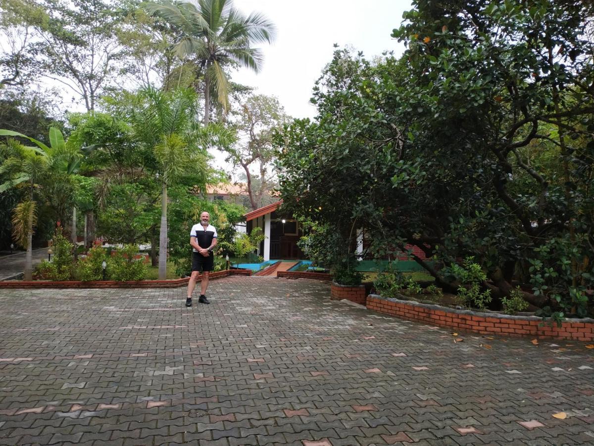 Sigiriya Cashew Palace Resort Daganapothaha Bagian luar foto