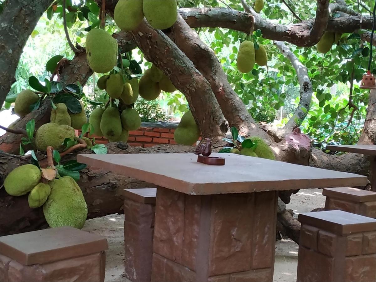 Sigiriya Cashew Palace Resort Daganapothaha Bagian luar foto