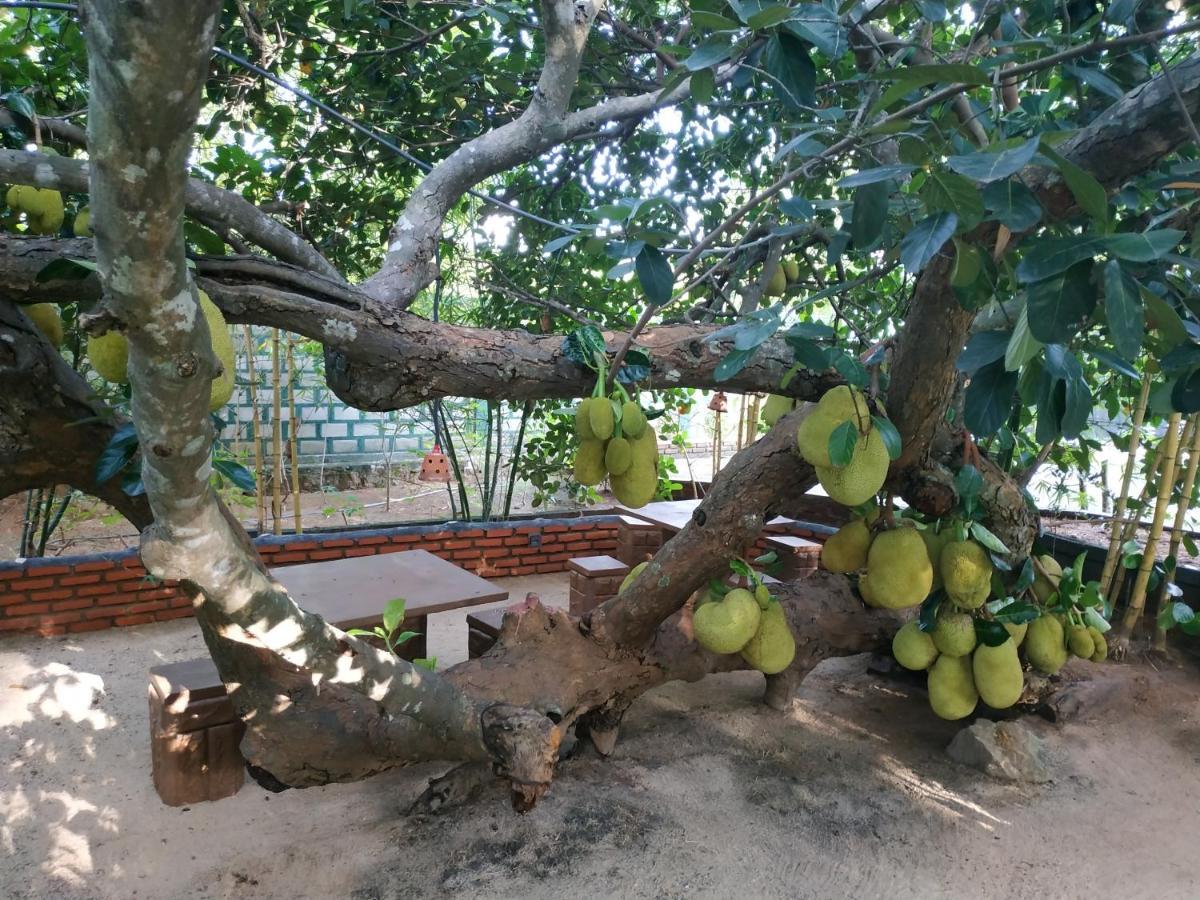 Sigiriya Cashew Palace Resort Daganapothaha Bagian luar foto
