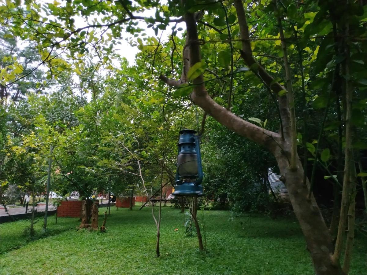 Sigiriya Cashew Palace Resort Daganapothaha Bagian luar foto