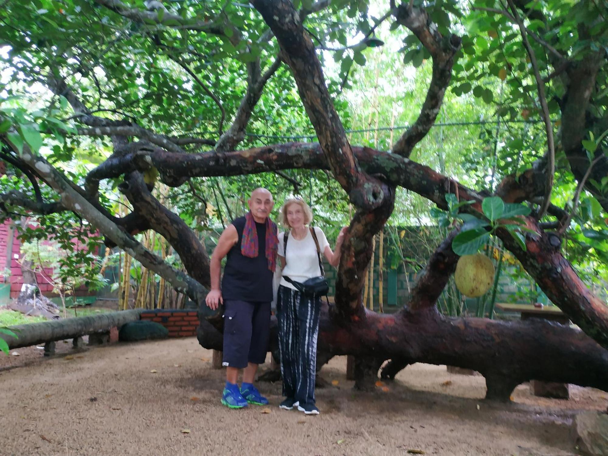 Sigiriya Cashew Palace Resort Daganapothaha Bagian luar foto
